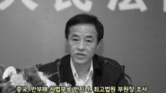 中 반부패, 사법부로 번지나..최고법원 부원장 조사