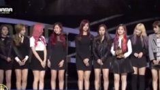 2015 MAMA, 쯔유, 채의림 수상