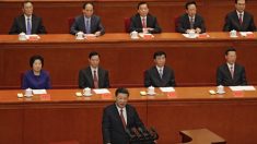 시진핑 또…6·25전쟁은 “중국이 이긴 위대한 전쟁” 항미원조 발언