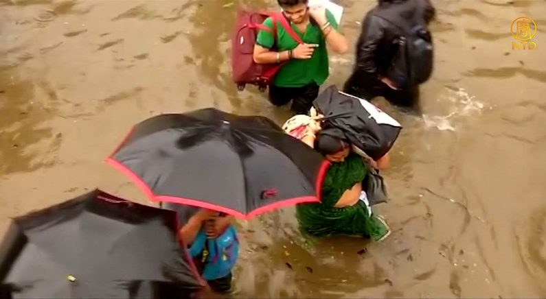 [영상] 인도, 네팔, 방글라데시, 홍수로 1200여명 사망