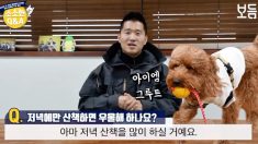 “밤에만 산책하면 강아지가 우울해 할까요?”… 강형욱이 건넨 ‘뼈 있는 조언’