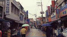 서울 마천루 속 삶의 현장…을지로 골목 유람기