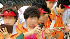 “유튜브 가장 많이 보는 연령층은 50대 이상” 1년 사이 2배 ‘폭발적 증가’