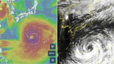 광복절인 내일(15일) 일본 관통하는 태풍 ‘크로사’ 크기 수준