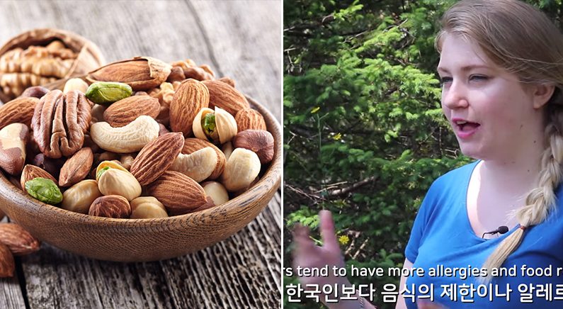 “한국인은 왜 알레르기가 없나요”라는 외국인 유튜버의 질문에 누리꾼이 답했다
