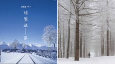 ‘내일로’ 패스 이용 연령 ‘만 34세’로 늘렸더니 8일 만에 1천장 팔렸다