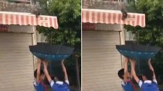 천막 지붕 위에 갇혀있는 아기 고양이 ‘우산’으로 구한 아이들