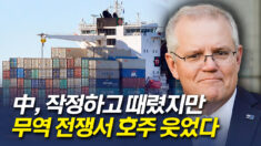 호주, 中과 무역전쟁서 웃었다.. 대중 수출 20% 증가