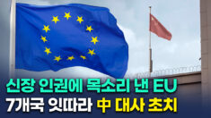 中-EU, 신장 인권탄압 제재 갈등…7개국 잇따라 中 대사 초치