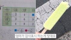 모르는 초등학생이 부탁한 수학 문제 풀어줬다가 ‘메로나’ 받은 대학생의 후기