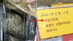 한여름에 고드름 열리는 ‘천연기념물’ 밀양 얼음골 얼음이 소멸됐다