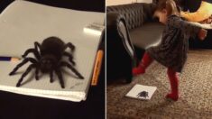 화가 아빠가 너무 리얼한 거미 그림을 그렸을 때 딸의 용감한 반응