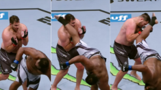 140㎏ UFC 헤비급 선수가 날린 태권도 ‘뒤돌려차기’ 한 방에 미국이 난리가 났다 (영상)