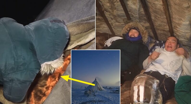 세상에서 가장 추운 곳에서 사는 가족이 한밤중 처음 보는 한국인들을 일단 재워준 이유 (영상)