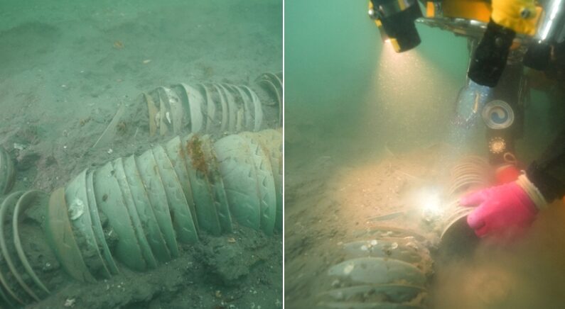 “난파선의 흔적” 군산 바다 해저에서 ‘대규모 고려청자’가 발견됐다