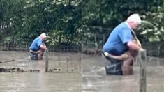 홍수로 죽을 뻔했던 강아지가 목숨 구해준 사람에게 보인 뭉클한 반응