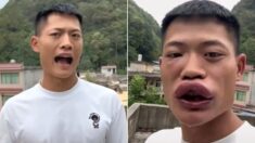관심 끌려고 ‘살아있는 말벌’ 생방송 먹방 찍은 중국인의 최후 (영상)