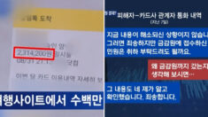 나도 몰래 결제된 350만원, 금감원 민원에 허겁지겁 돌려준 카드사