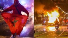 모로코전 패배 후 벨기에서 대규모 폭동 발생…주범은 모로코 팬들이었다