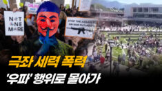 언론 주도로 좌파 범법 행위 물타기  [크로스로드]