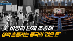 美 비영리 단체 집어삼킨 중국 자금…청문회서 논란 | 차이나인포커스